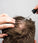 Scandinavian Biolabs serum voor mannen