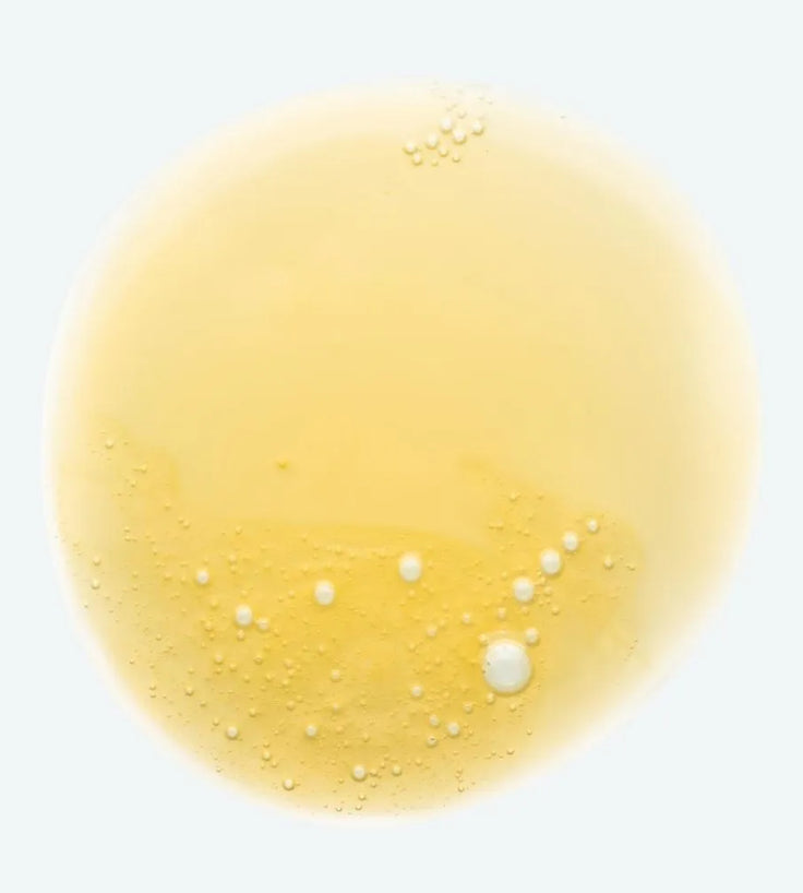 Klorane shampoo voor droog haar Mango (400 ml)