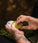 Mr. Bear Family baardbalsem - Citrus (60 ml)