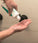 Neofollics Scalp Therapy Exfoliating Shampoo