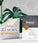Viviscal hair growth supplement voor mannen (1 mnd)