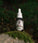 Mr. Bear Family baardolie - Wilderness (30 ml)